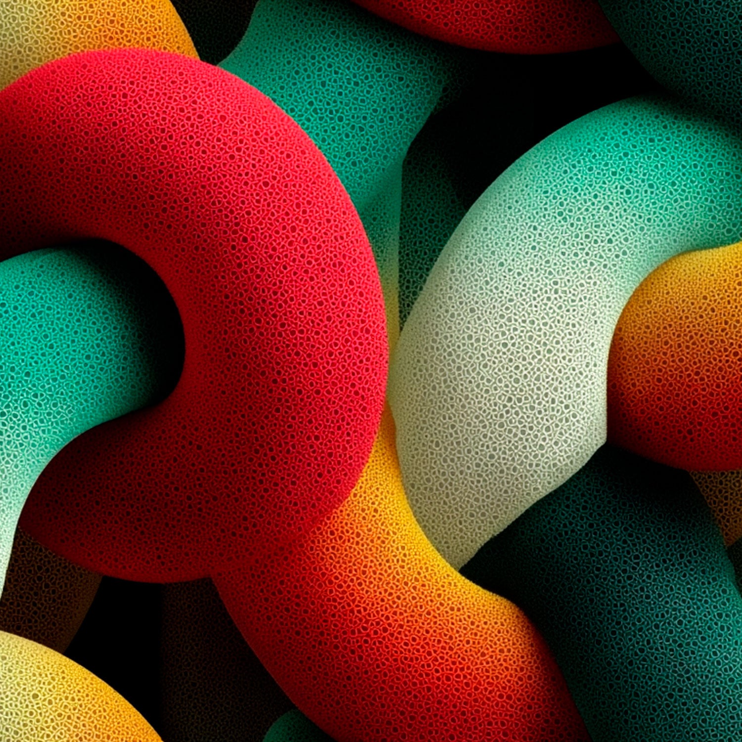 Pack Enterloop - Rec Brew