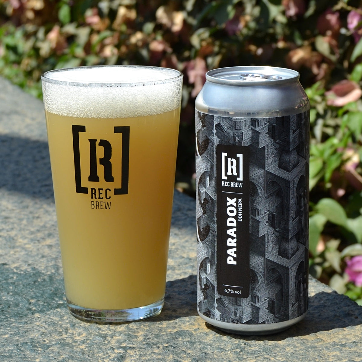 Paradox - Rec Brew